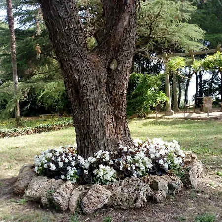 Gospodarstwo agroturystyczne - Quarto Del Cuore *