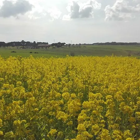 - Quarto Del Cuore Farmház Róma