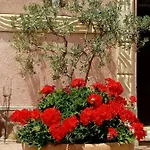 - Quarto Del Cuore Agroturismo Roma
